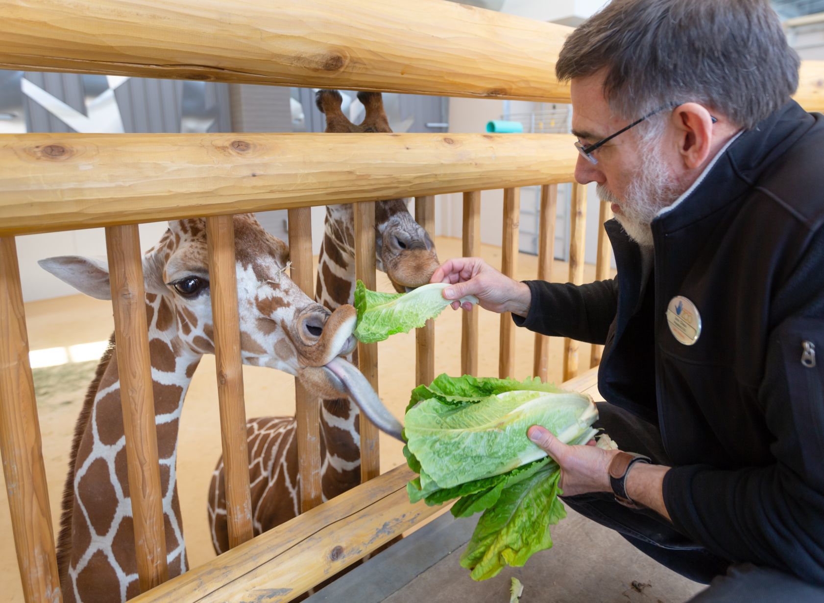 20190214_new_lincolnzooKS002